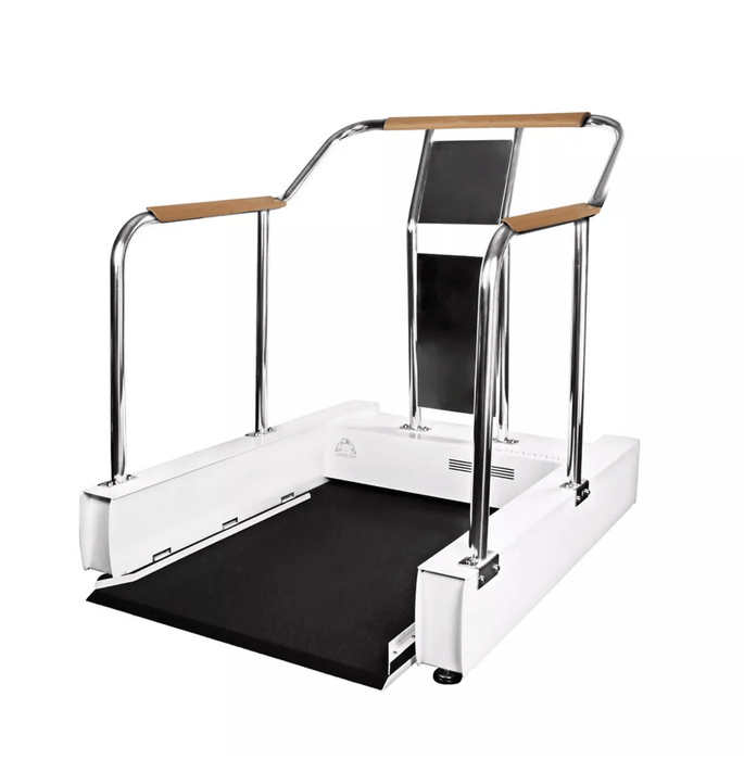 Full body vertical wheelchair exercise trainer