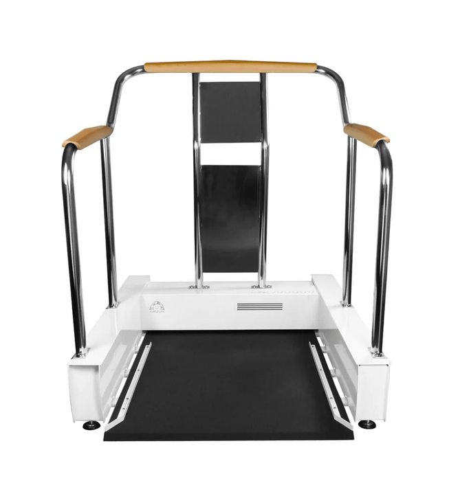 Full body vertical wheelchair exercise trainer