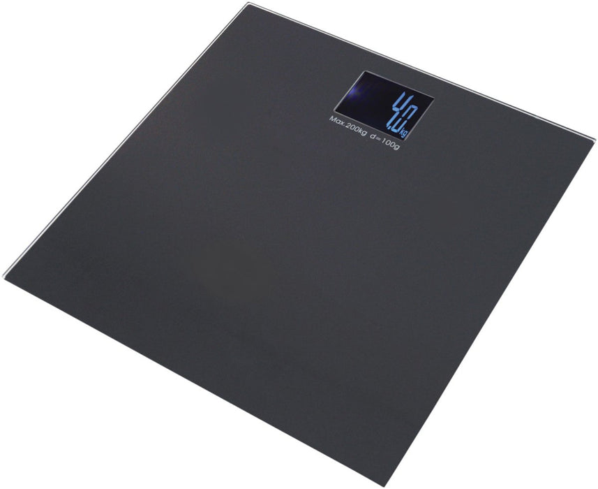 Smart Talking Scale