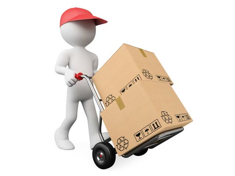 Delivery or Service charge